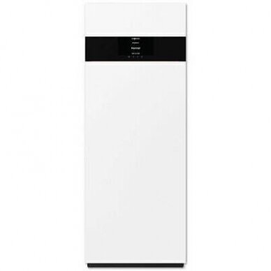 Dujinis katilas Viessman Vitodens 222-F, B2SF, 1,9 - 19kW